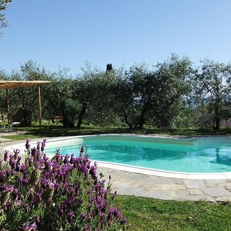 Agriturismo Il Castagnolino San Gimignano Bagian luar foto