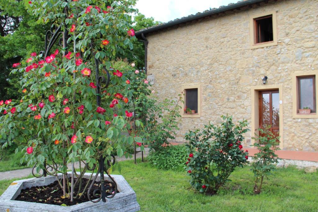 Agriturismo Il Castagnolino San Gimignano Ruang foto