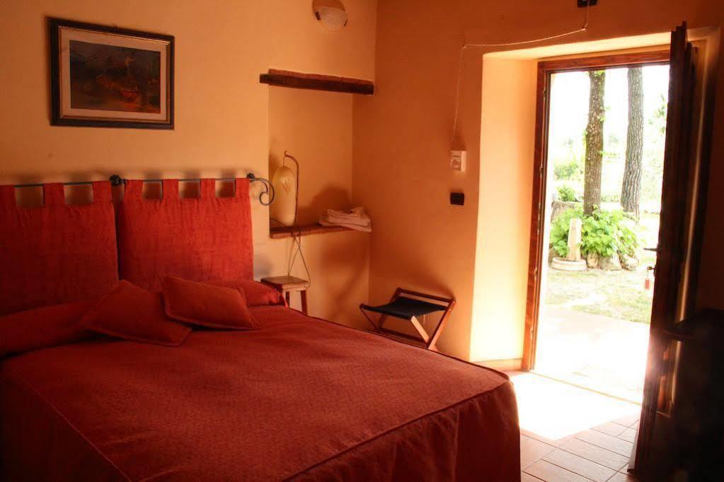 Agriturismo Il Castagnolino San Gimignano Bagian luar foto